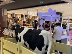 -红星前进面包牛奶公司(君太店)