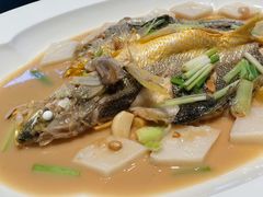 大黄鱼-子福慧(虹桥店)