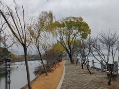 -无锡蠡湖国家湿地公园-蠡园