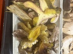 -菌之家·专业纯野生菌火锅·特色炒菌