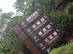 -野象谷景区