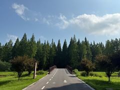 -黄海国家森林公园