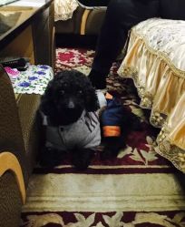 -杉惠素颜美妆皮肤管理中心