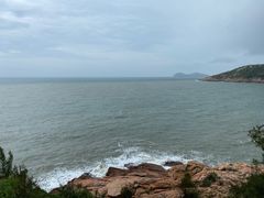 -广东惠东海龟国家级自然保护区
