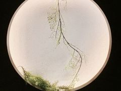 -泰·菩提树下[泰式按摩x精油SPAx肩颈头疗](新景店)