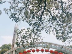 -南山植物园