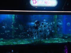 -顺德南宏海立方海洋公园