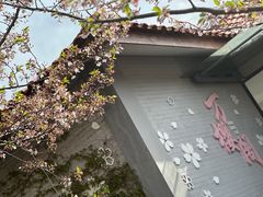 -高东镇樱花园
