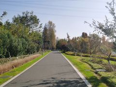 -昆山城市生态森林公园