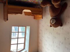 -金山农民画村-枫泾波兰倒置屋