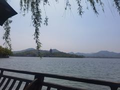 -柳莺湖上·湖景餐厅·江南菜(西湖店)