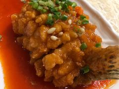 -三顾园(锦里店)