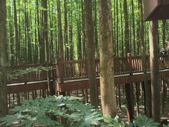 -山王坪喀斯特国家生态公园
