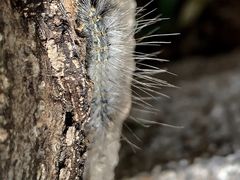 -崂山巨峰游览区