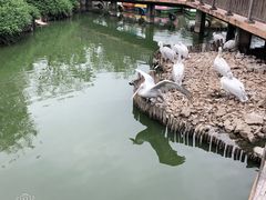 -无锡动物园·太湖欢乐园