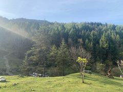 -硗碛藏寨·神木垒景区