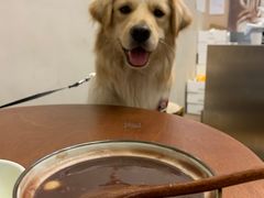 -小团圆糖水铺(襄阳南路店)