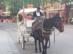 -茯茶镇