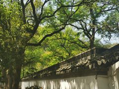 -上海佘山国家森林公园天马山园