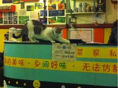 iphone_upload_pic-乡间好味私家菜(总店)