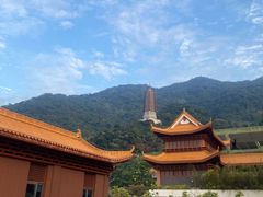 -深圳仙湖植物园