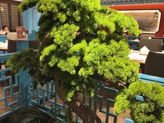 -全聚德烤鸭店(准噶尔路店)