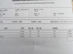 -宠爱国际动物医院·疑难骨科·心肾内科·皮肤科(太阳宫店)