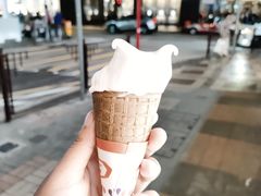 -富豪雪糕车流动点(尖沙咀店)