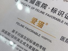 -宠颐生宠物医院·异宠猫科内科·诊疗中心宠巢店