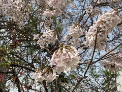 -红星桥(地铁站)
