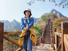 -大岭沟猕猴桃谷风景区