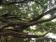 -人民公园(罗湖区)