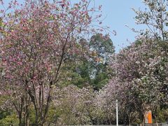 -火炉山森林公园