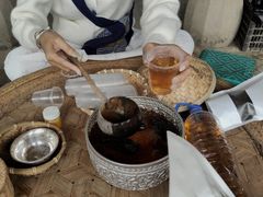 -西双版纳傣族园