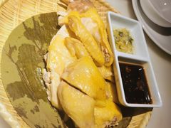 -佬肥猫(国华广场店)