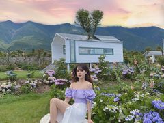 -猫米花园