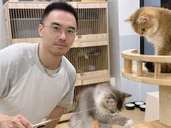 -有喵·猫咖·狗咖·30几只猫10只小狗(岗厦店)