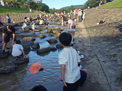 -光明小镇欢乐田园