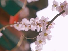 -颐和园