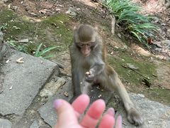-黔灵山公园