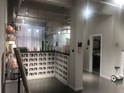 -三只熊皮肤管理中心旗舰店