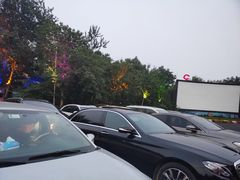-枫花园汽车电影院(朝阳公园店)