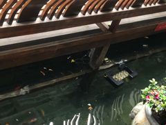 -三只耳火锅(宽窄巷子店)