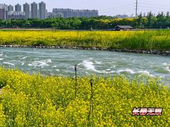 -永定河休闲森林公园