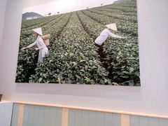 -奈雪的茶(优特汇店)
