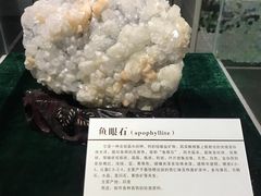 景点-中国第四纪冰川遗迹陈列馆