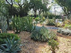 -云溪植物园