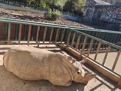 -哈尔滨北方森林动物园