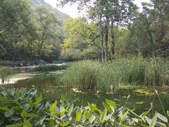 -白水寺森林公园