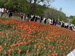 -长春公园(普阳街道)